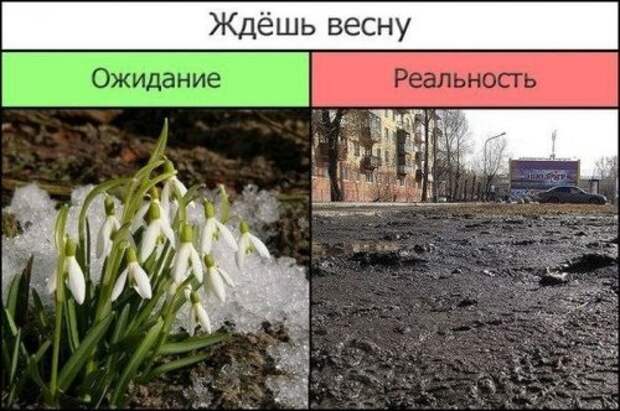 Прикольные картинки (38 фото)