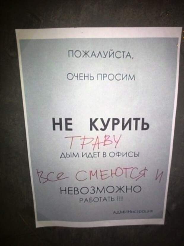 Фото приколы, смотри или танцуй.