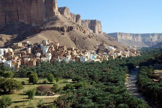 Удивительный остров Сокотра Socotra18 Удивительный остров Сокотра