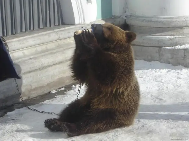 ����� - ��������� �����..., ��� ��������� ��������