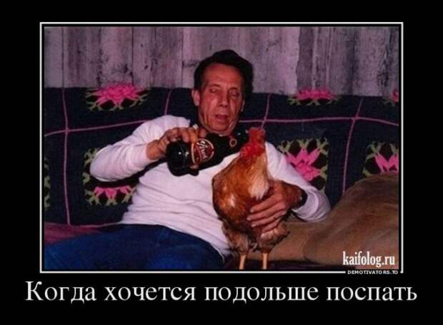 Демотиваторы - 246 (50 демотиваторов)