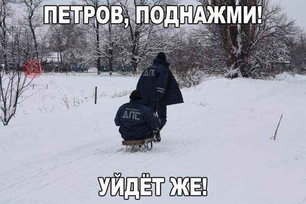 11.  авто, автоприколы, приколы