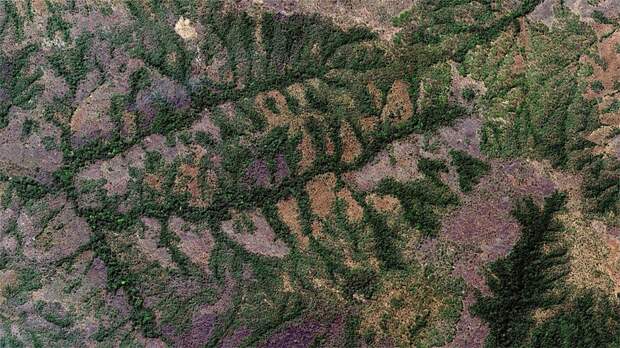35 фотографий  из Google Earth,  которым сложно поверить. Изображение № 32.