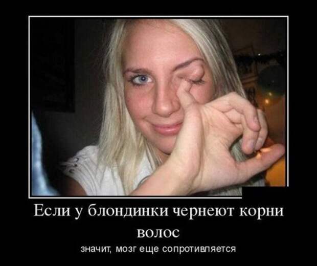Демотиваторы (30 фото)