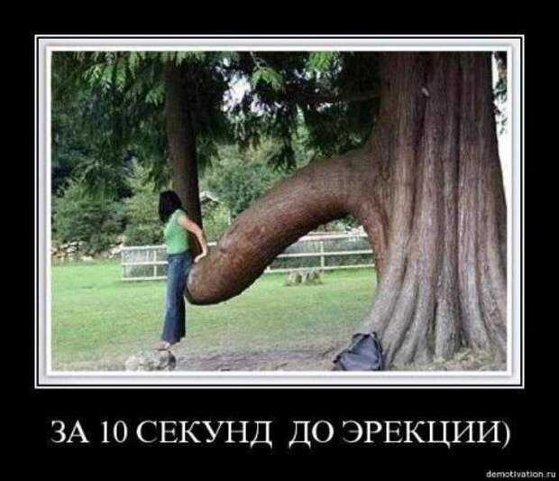Демонтиваторы приколы.