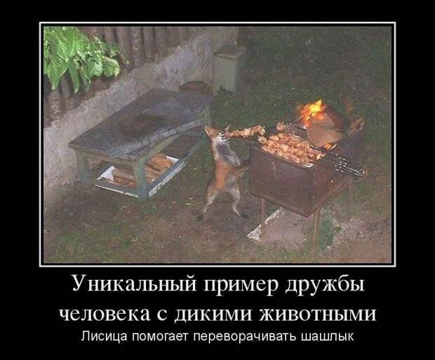 Демотиваторы демотиваторы