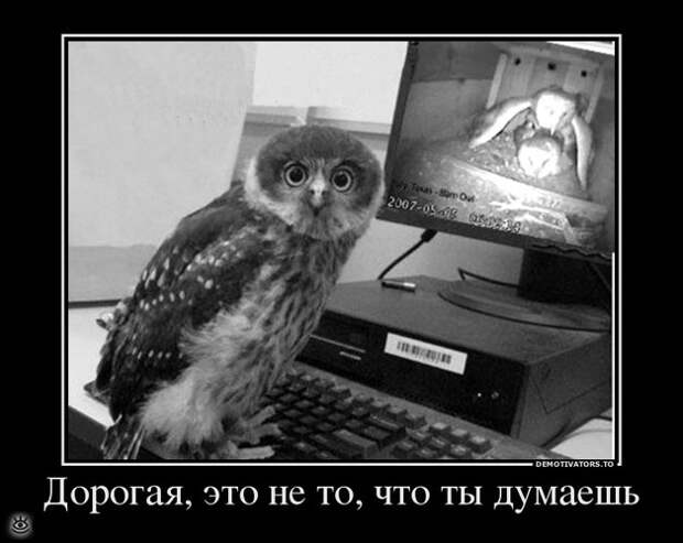 Спасибо женщинам за эволюцию! 25
