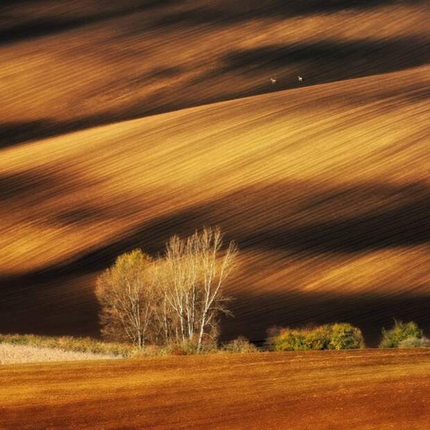 50 лучших фото без фотошопа