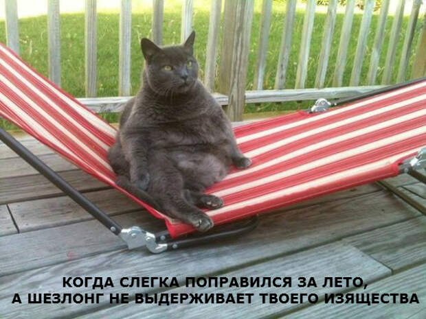 3832057_original (600x450, 291Kb)