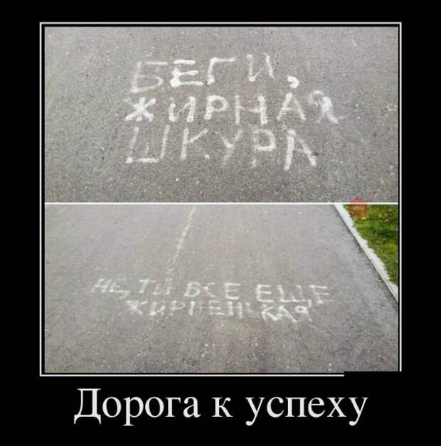 Дорога к успеху демотиватор, юмор
