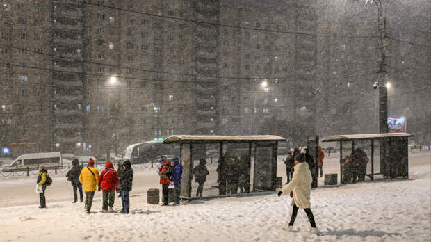 Снежный паралич: Петербург накрыла сильная метель