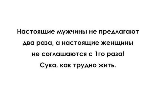 Прикольные картинки (98 фото)