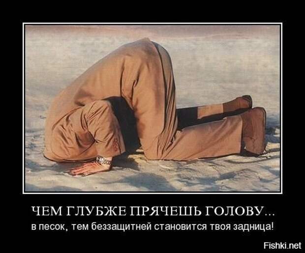 Подборка демотиваторов демотиваторы, прикол, юмор