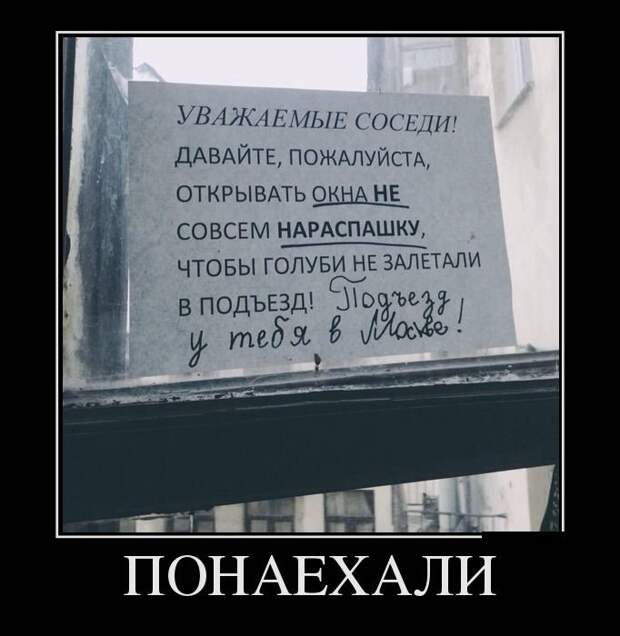 Новые демотиваторы для настроения. Смотрим приколы Новые демотиваторы для настроения. Смотрим приколы