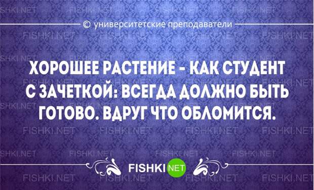 Перлы университетских преподавателей преподаватель, студенты, юмор