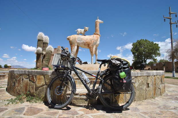 День 168: Веселье с ламами на Альтиплано велосипед, мир, путешествие, собака