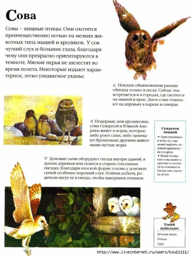 Entziklopedia dlya detei.Vse o jivotnih ot a do ya..page131 (523x700, 290Kb)