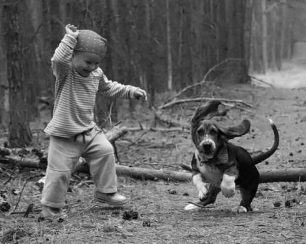 Собака - четвероногий друг