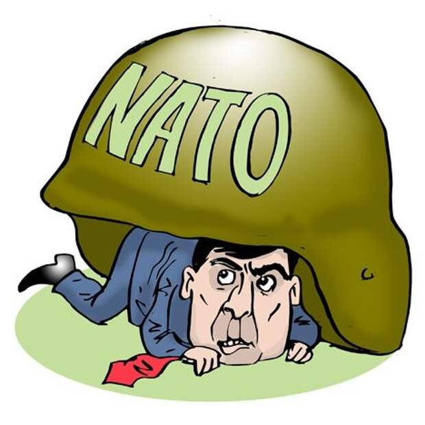 Пушков предложил Порошенко сделать Саакашвили премьером Украины Пушков предложил Порошенко сделать Саакашвили премьером Украины
