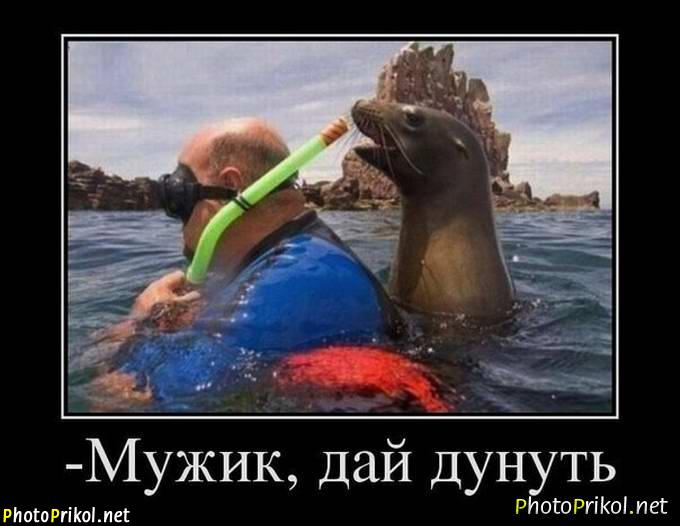 Демотиваторы приколы (30 картинок)