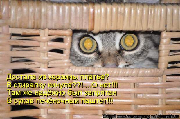 Котоматрица - Достала из корзины платье? В стиралку кинула??! ...О нет!!! Там же над
