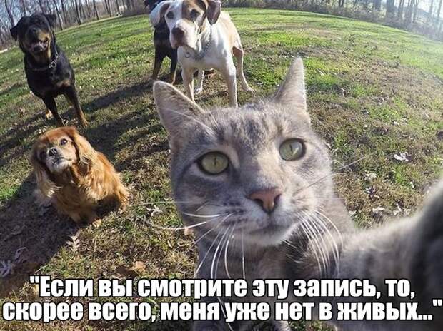 Хохотушки. Юмор каждый день!