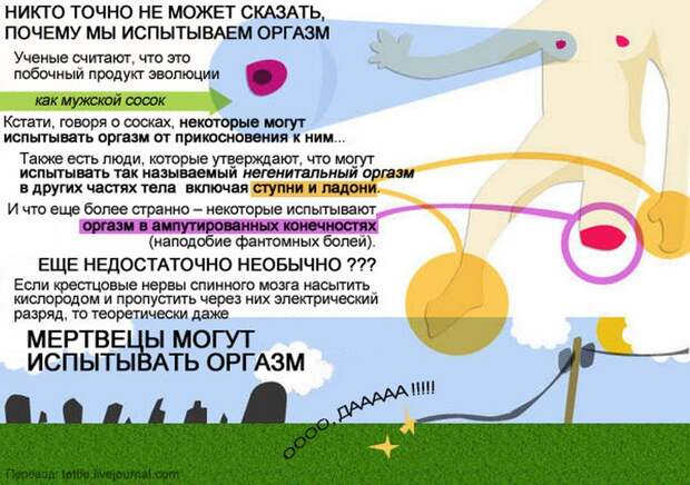оргазм