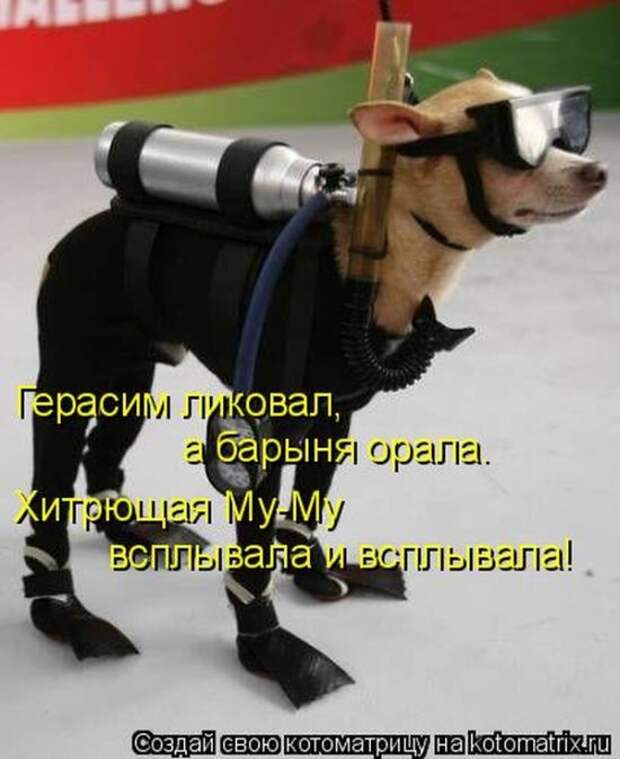 22 котоматрицы