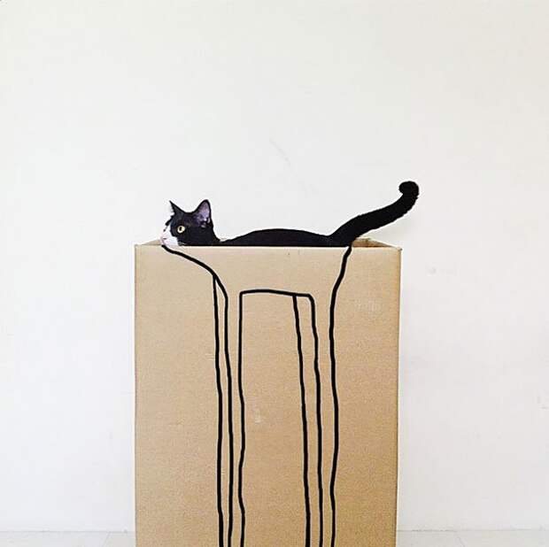 кошка маскируется 