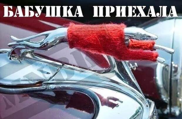 Кто такая бабушка бабушка, мем, прикол, юмор