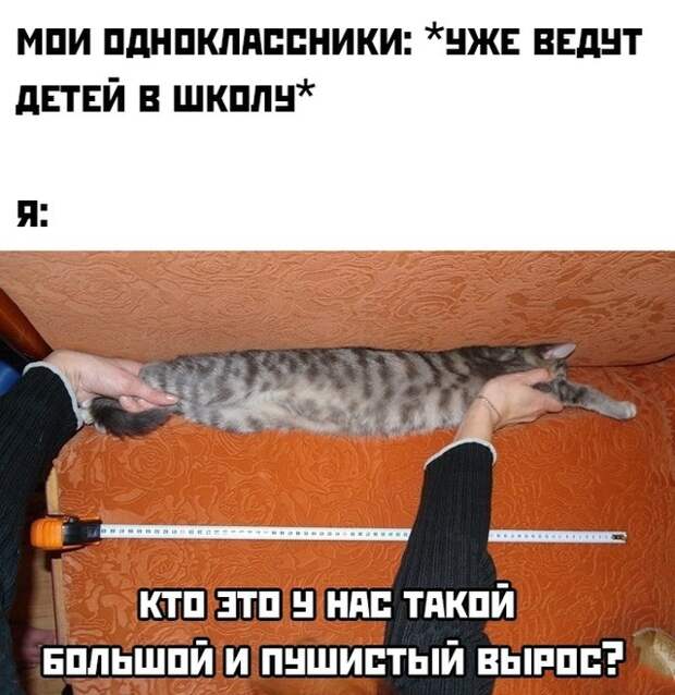 Смешные картинки вечер 22 сентября 2021 года