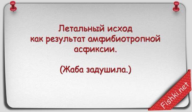 Русские пословицы и поговорки научным языком наука, поговорки, пословицы