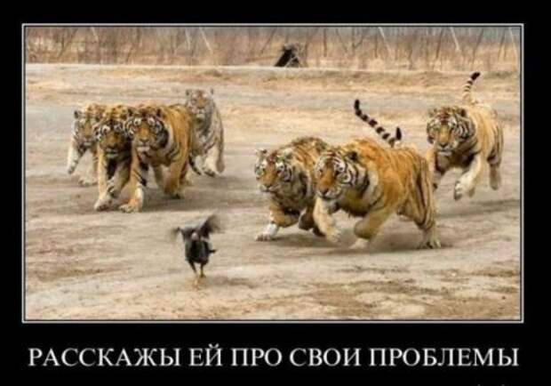 Смешные демотиваторы у нас каждый день!