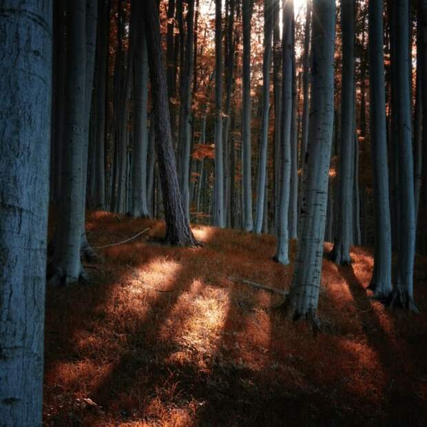 Красивые фотографии чешского фотографа Janek Sedlar