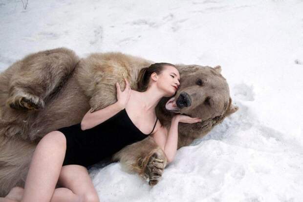 Фотографии моделей с 650-килограммовым медведем в заснеженном лесу Фотографии моделей с 650-килограммовым медведем в заснеженном лесу медведь, фото