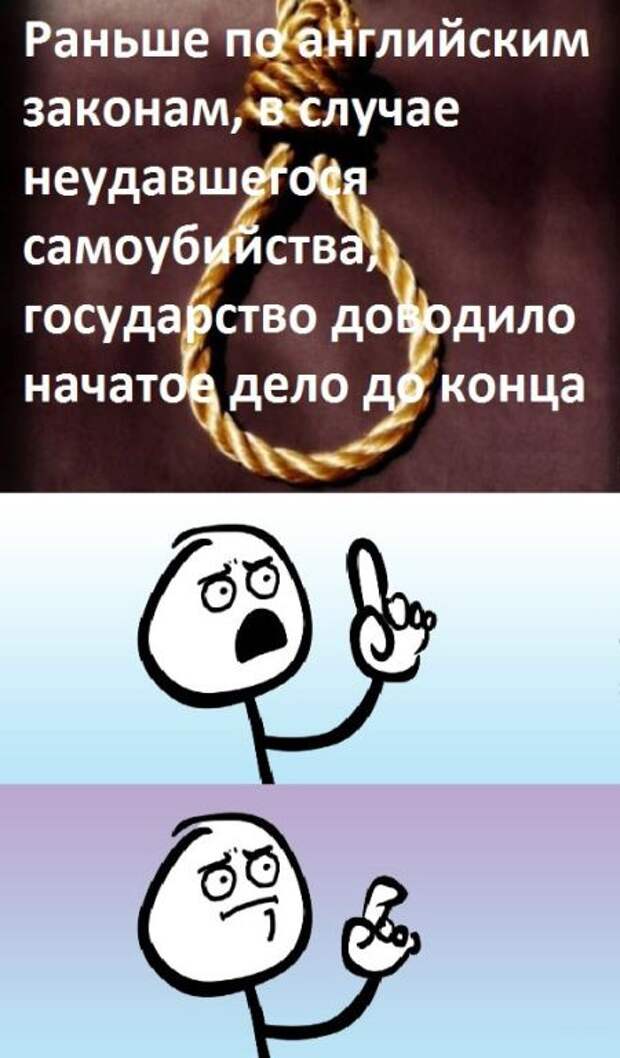Прикольные картинки (95 фото)