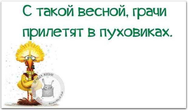 Позитивные фразочки в прикольных картинках (23 штуки)
