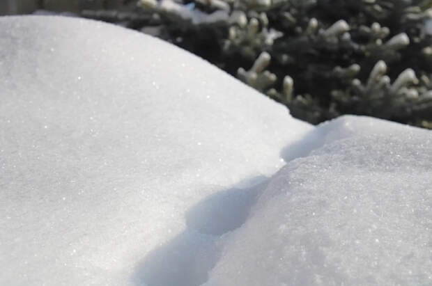 В Петропавловске-Камчатском пятиклассник спас ребенка из снежного завала