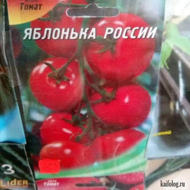 Прикольные семена (35 фото)