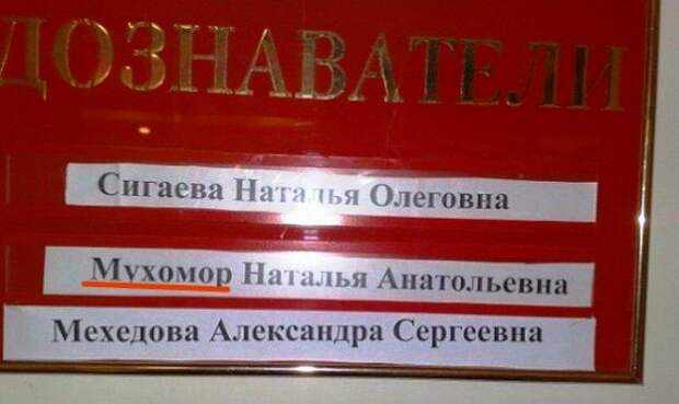 20 случаев, когда фамилия и профессия созданы друг для друга профессия, фамилия, юмор
