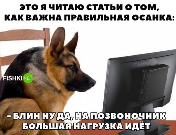 13. И о здоровье 13. И о здоровье