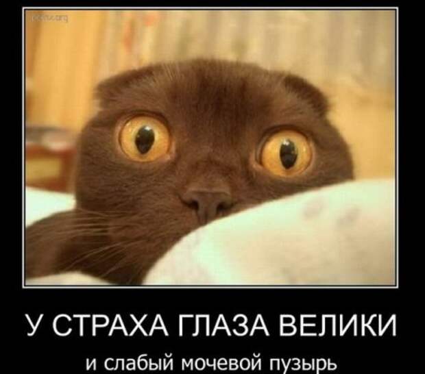 Новенькие смешные демотиваторы.