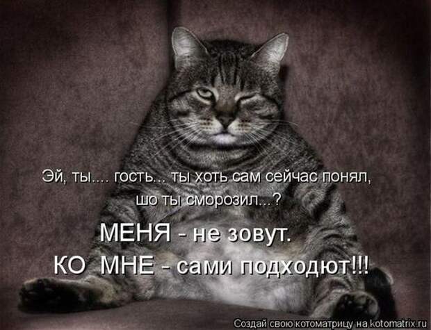 Мысли вслух :)