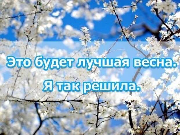 Смешные высказывания...