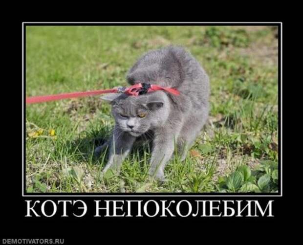 Новый день - у нас новые демотиваторы.