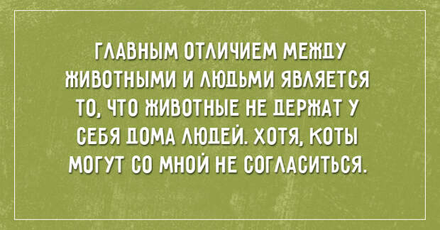 саркастичные открытки о жизни