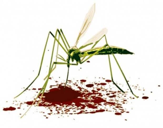 kak-lechit-ukusy-komarov-effektivnye-i-prostye-sredstva