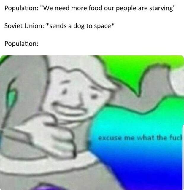 Excuse Me What the Fuck