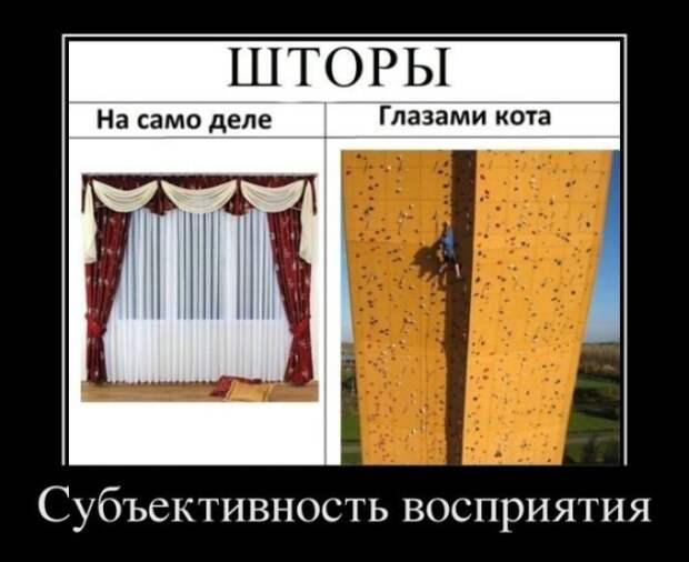 Демотиваторы (30 фото)