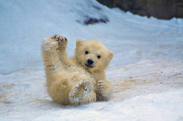 Yoga Practice